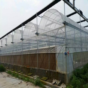 Hydroponic galvanized auto-control film/plastic greenhouse for tomato/romaine lettuce/strawberry 