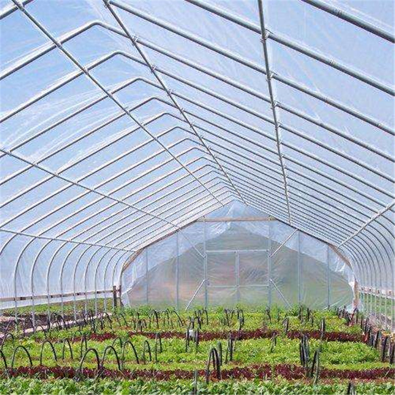 Hot sale Solar Venlo Plastic Polytunnel Hydroponic Agricultural Film Greenhouse for Vegetables/flowers/fruits/garden/tomato/crop/corn