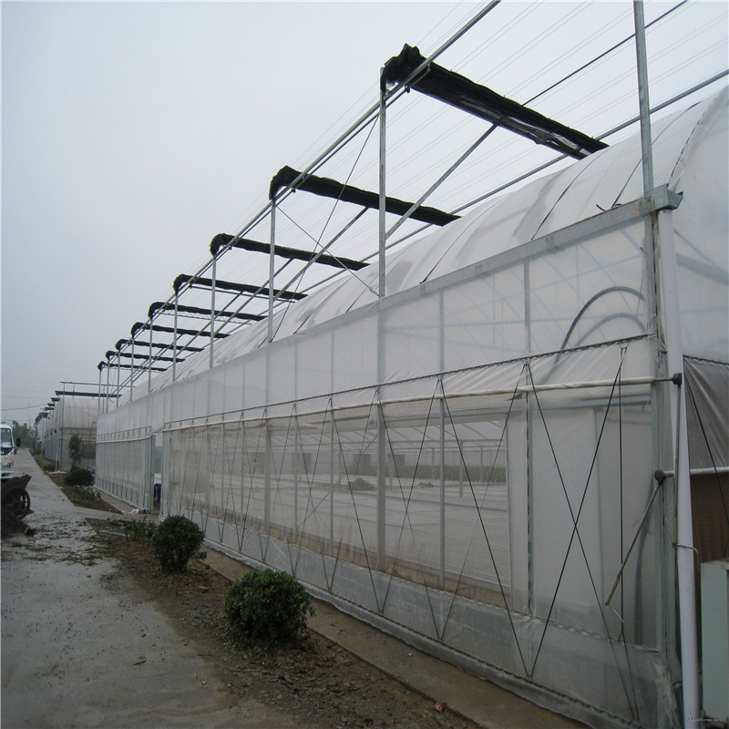 Polytunnel Hydroponic Venlo Multi-span Agricultural Polycarbonate Film Greenhouse for Vegetables/flowers/fruits/garden/tomato