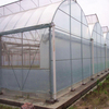 Best Price Multispan Agricultural Plastic Film Greenhouse for Vegetables/Fruits/Flowers/Garden/Farming 
