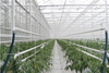 Hot Professional Design Film Greenhouse Heating Systems