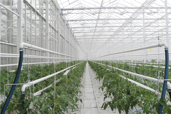 Hot Professional Design Film Greenhouse Heating Systems