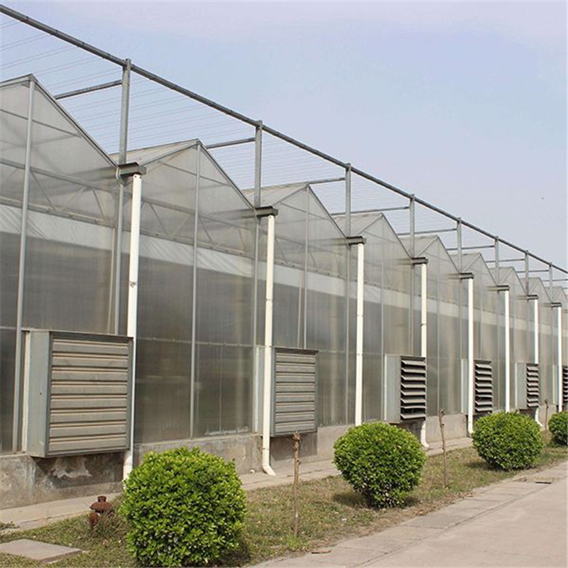 Polycarbonate sheet Covering Greenhouse Hydroponic Venlo Multi-span Agricultural Greenhouse for Vegetables/flowers/fruits/garden/tomato/crop/corn