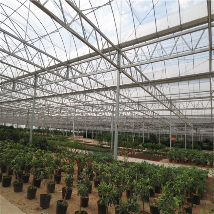 Steel Galvanized Pipe Greenhouse Structure for Greenhouse 