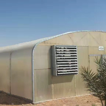Tunnel Greenhouse in Middle East