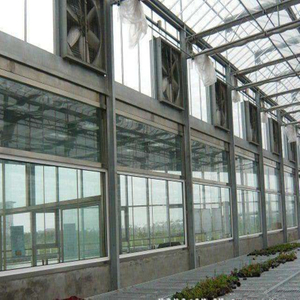 Hydroponic greenhouse with high quality Ventilation System Venlo Multi-span Agricultural Greenhouse for Vegetables/flowers/fruits/garden/tomato/crop/corn