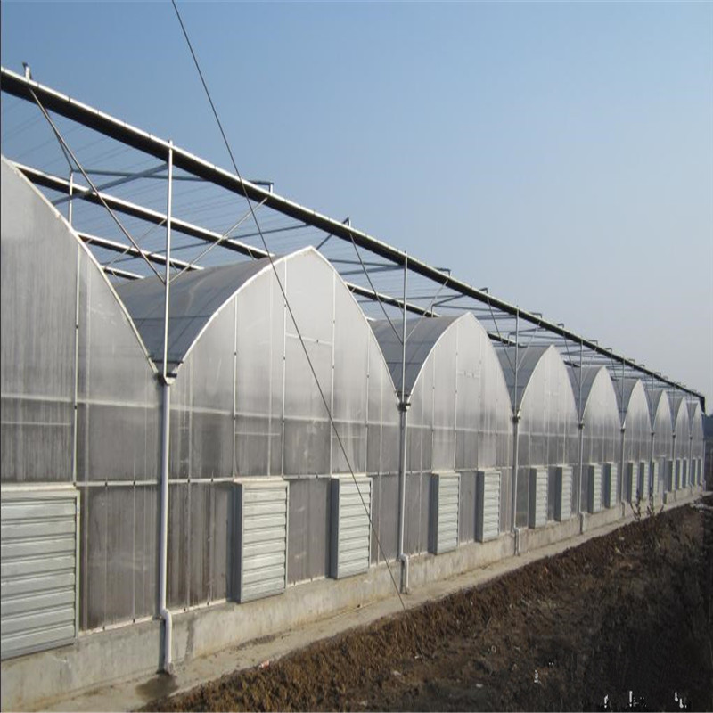 Agricultural Polycarbonate High quality cheap price Hydroponic Agricultural PC Greenhouse for Vegetables/flowers/fruits/garden/tomato/crop/corn