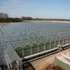 Venlo Greenhouse Excellent quality Heating System Multi-span Agricultural Hydroponic Greenhouse for Vegetables/flowers/fruits/garden/tomato/crop/corn