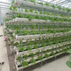 Hydroponic system Greenhouse Multi-span Venlo Agricultural Greenhouse for Vegetables/flowers/fruits/garden/tomato/crop/corn