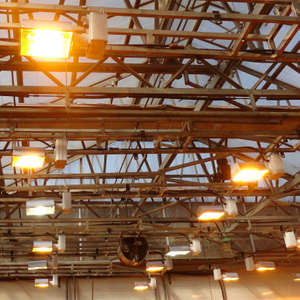 Full Spectrum COB LED Plant Grow Light for Hemp Greenhouse