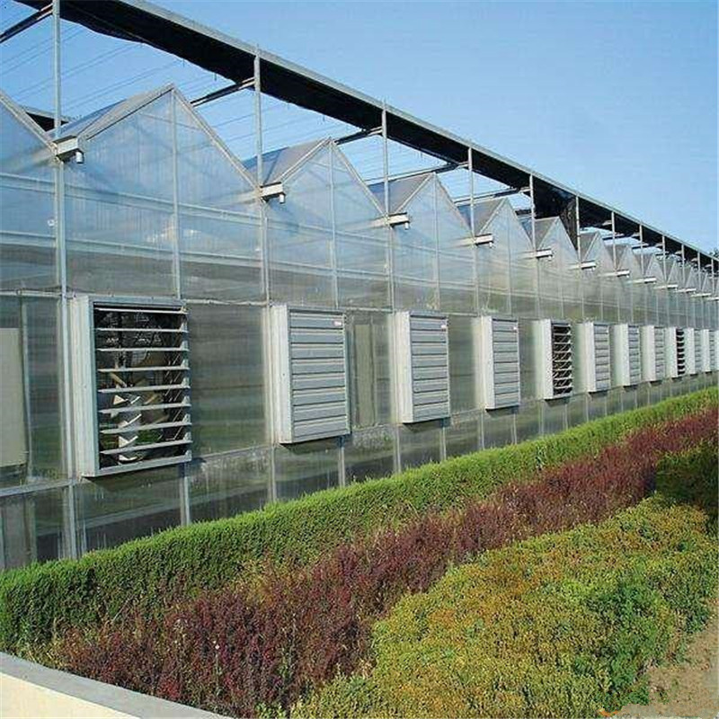 High quality cheap price Hydroponic Agricultural Polycarbonate Greenhouse for Vegetables/flowers/fruits/garden/tomato/crop/corn