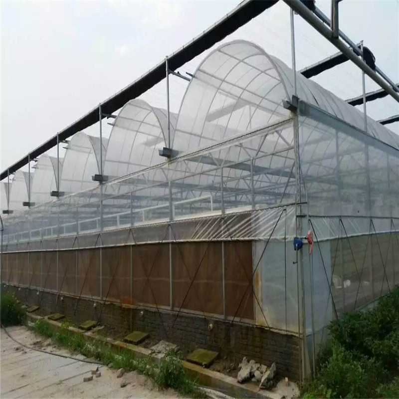 Venlo Multi-span Polytunnel Hydroponic Agricultural Polycarbonate Film Greenhouse for Vegetables/flowers/fruits/garden/tomato/crop/corn