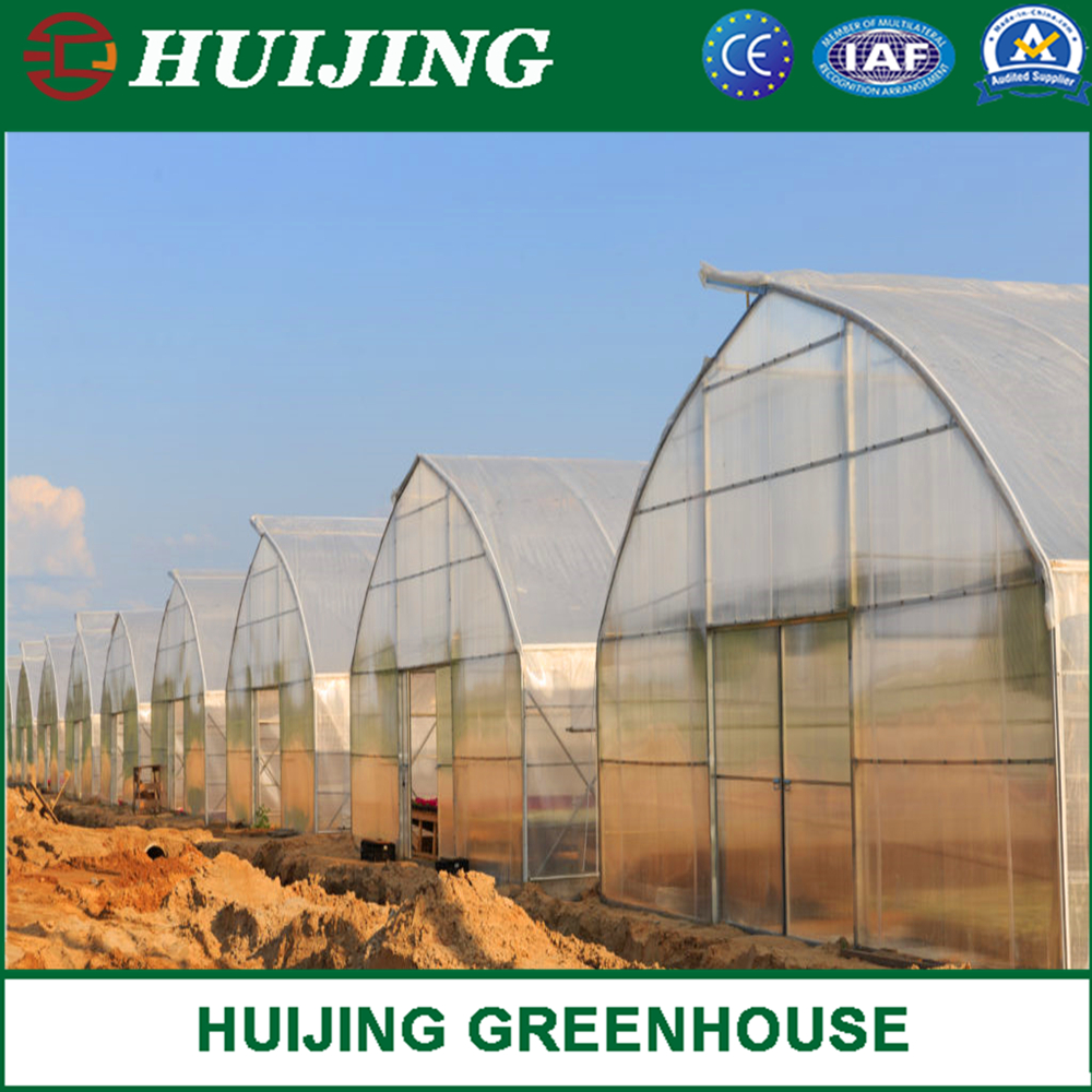 China Supplier Agriculture Single Span/Multi Span Tunnel Plastic Film Greenhouse for Flowers/Tomato/Lettuce Planting