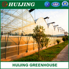 Poly/PC Sheet/Hydroponic Greenhouse for Hydroponics/Vegetables/Flowers/Seed Breeding/Tomato/Cucumber/Strawberry Planting for Sale