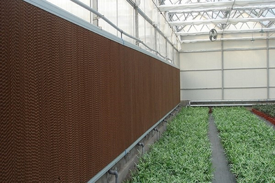 Greenhouse Water Evaporative Cooling System