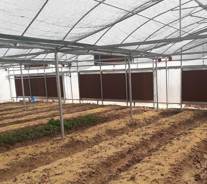 Greenhouse Water Evaporative Cooling System 