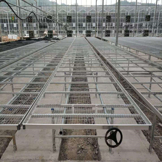 Cheapest High quality Nursery system Venlo Greenhouse Agricultural Greenhouse for Vegetables/flowers/fruits/garden/tomato/crop/corn