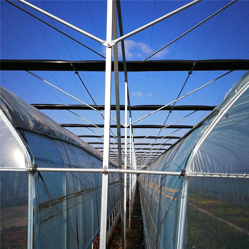 Hydroponic Steel Structure Multi-span Polycarbonate Agricultural Greenhouse for Vegetables/flowers/fruits/garden/tomato/crop/corn