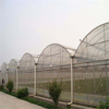 Venlo Multi-span Polytunnel Hydroponic Agricultural Polycarbonate Film Greenhouse for Vegetables/flowers/fruits/garden/tomato/crop/corn