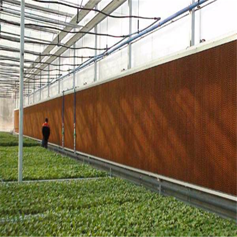 Commercial Greenhouse with Cheap Cooling System Multi-span Agricultural Hydroponic Greenhouse for Vegetables/flowers/fruits/garden/tomato/crop/corn