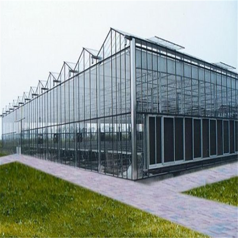Agricultural Greenhouse Excellent quality Heating System Multi-span Hydroponic Greenhouse for Vegetables/flowers/fruits/garden/tomato/crop/corn