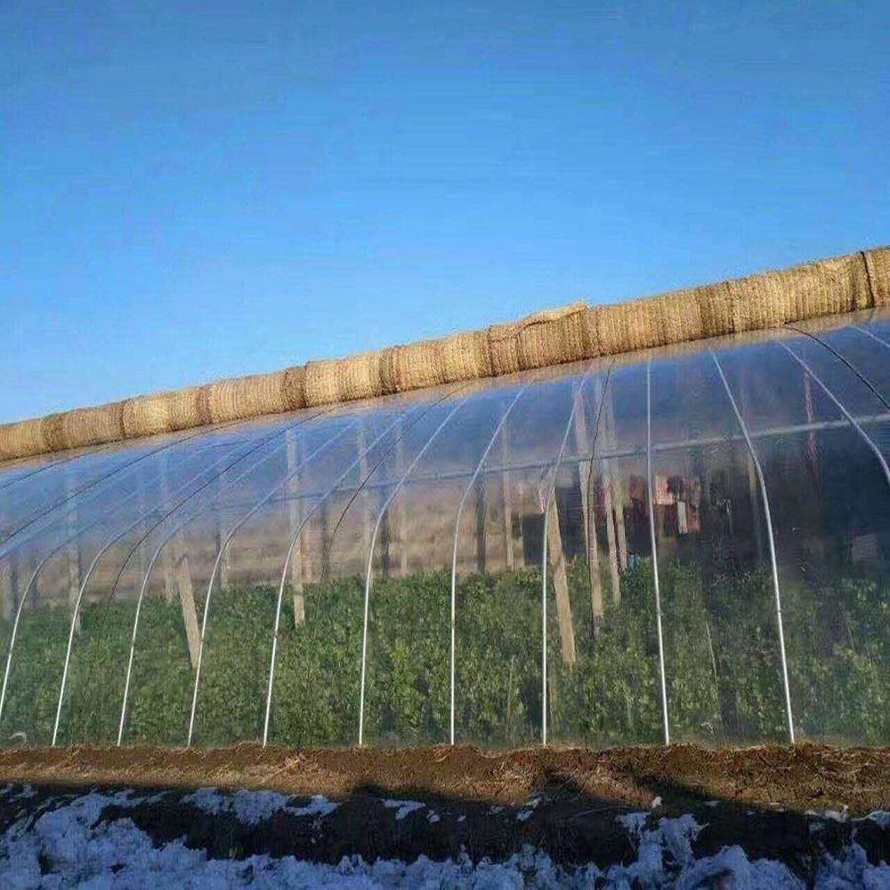 Cheap Simple Solar Greenhouse Covered by PO/PE/EVA/PP Film for Sale 