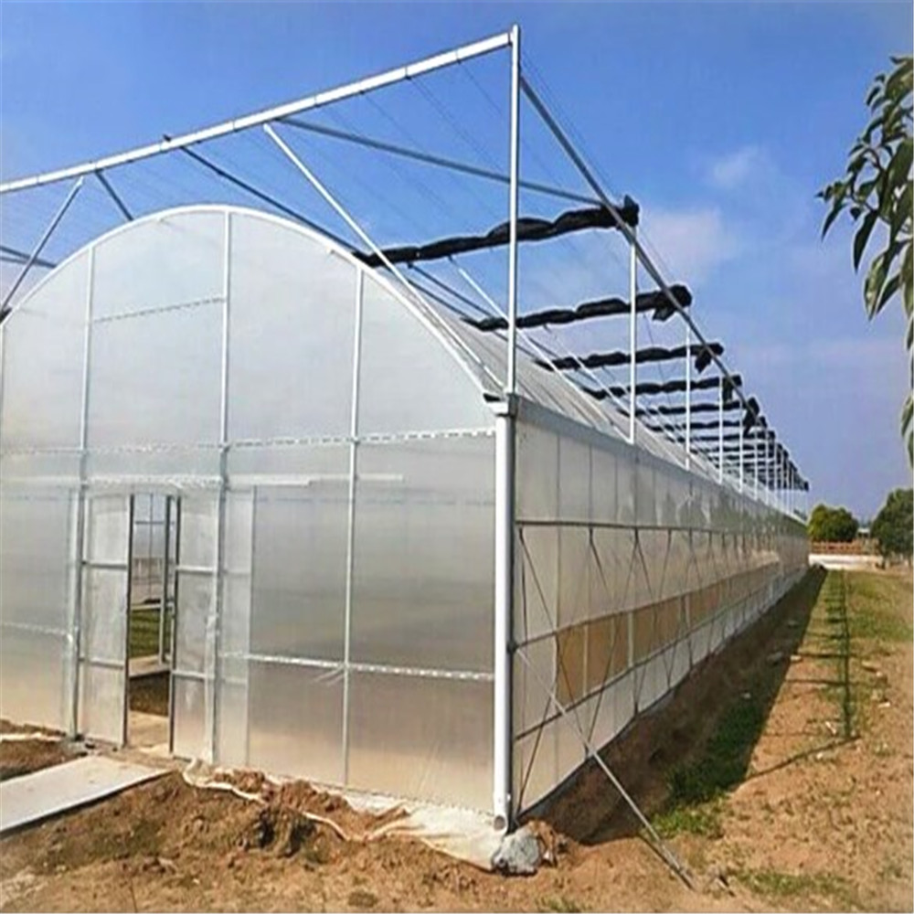 Single Span Commercial Agriculture Greenhouse China Manufacturer for Tomato/Cucumber/Pepper/Strawberry Hydroponics 