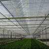 Low Cost Greenhouse inside Shading System for Sale 