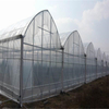 Multi-span Polytunnel Hydroponic Venlo Agricultural Polycarbonate Film Greenhouse for Vegetables/flowers/fruits/garden/tomato/crop/corn
