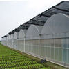 Polycarbonate high quality vegetable greenhouse