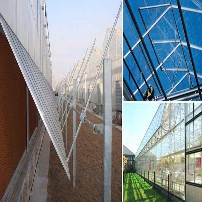 Hot sale Hydroponic greenhouse with high quality Ventilation System Venlo Multi-span Agricultural Greenhouse for Vegetables/flowers/fruits/garden/tomato/crop/corn