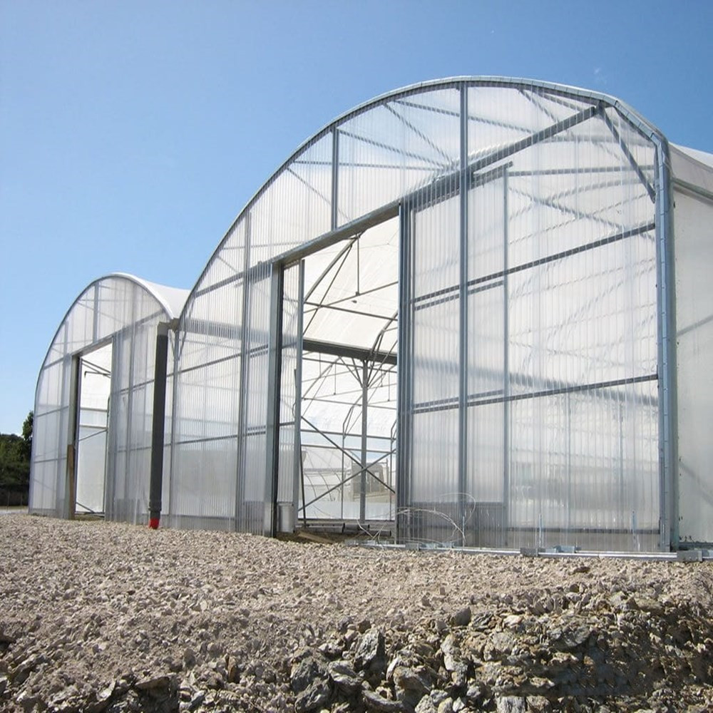 Professional Multi Span Agricultural Polycarbonate (PC) Sheet Greenhouse with Hydroponics/Cooling/Heating System 