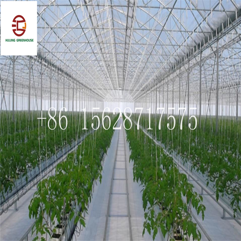 High Quality Rain Gutter Polycarbonate Greenhouse Steel Structure