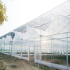 Auto Multispan Greenhouse Heating System From China
