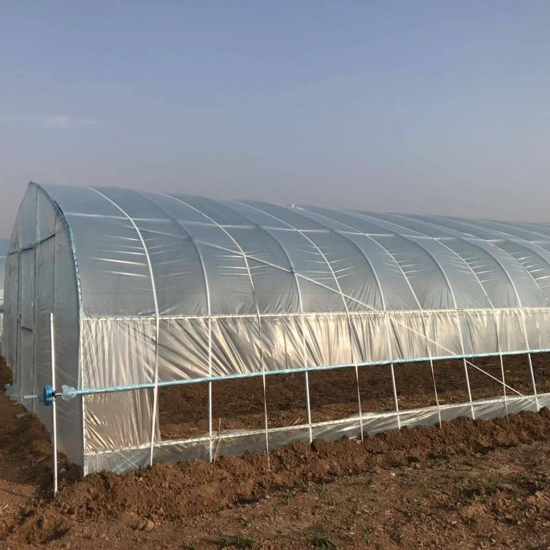 Single-Span Garden Greenhouse for Agriculture