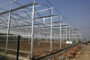 Galvanized Steel vegetable greenhouse