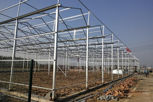 Steel Structure of Greenhouse