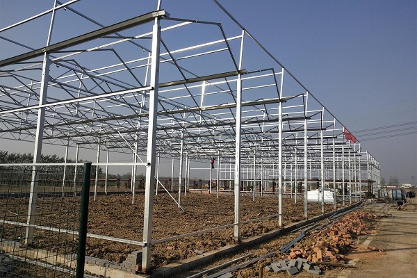 Galvanized Steel vegetable greenhouse
