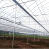 Greenhouse Steel Structure from China Factory
