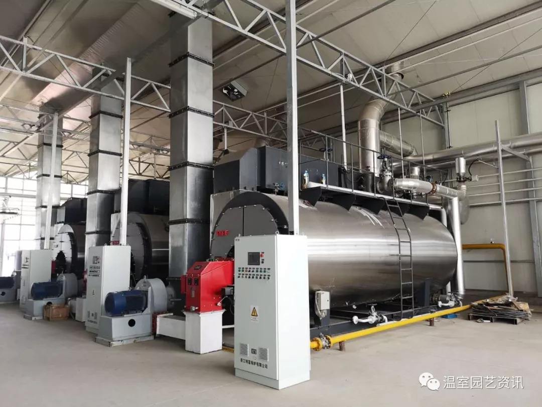 Hot Water Boiler Heating System for Greenhouse