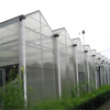  Customized Ecofriendly Tomato Growing Hydroponics System Venlo Polycarbonate Sheet Greenhouse