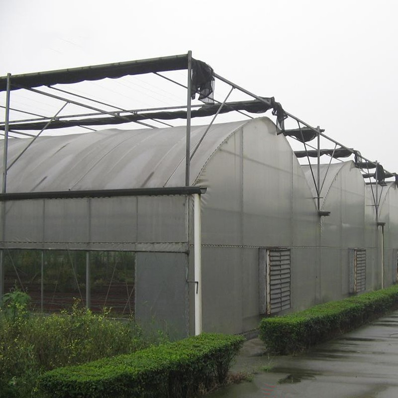 Multi-Span Plastic Film Cover Natural Ventilation Vegetable Greenhouse