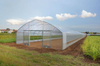 Solar Single Span Film Covered Green House with Hydroponics for Anti-Season Vegetable Tomato/Cucumber/Peppers/Lettuce/Cultivation