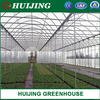 Vegetable/Flower/Planting Greenhouse with Hydroponics Growing System for Flowers