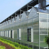 Hydroponic Agricultural Polycarbonate High quality Agricultural PC Greenhouse for Vegetables/flowers/fruits/garden/tomato/crop/corn