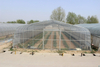 Tunnel agriculture film/plastic greenhouse for sale 