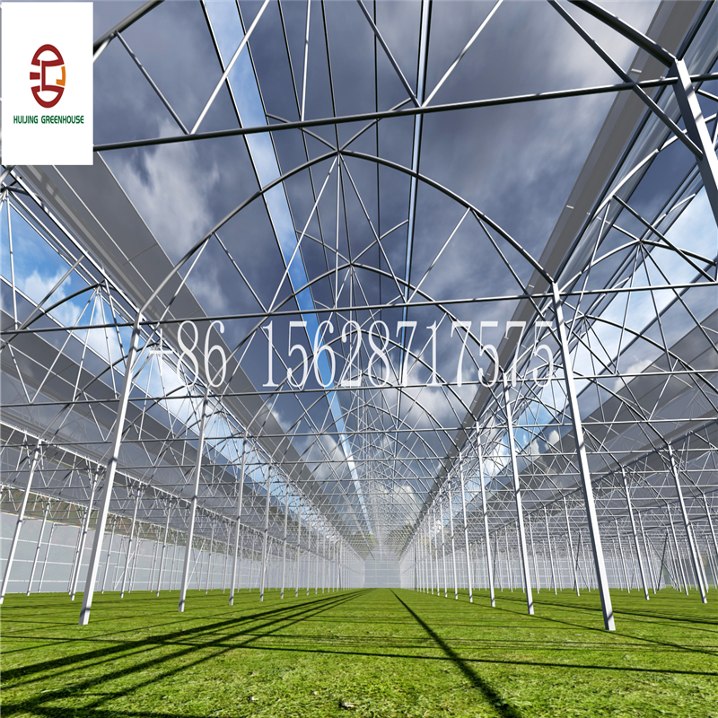High Quality Rain Gutter Polycarbonate Greenhouse Steel Structure