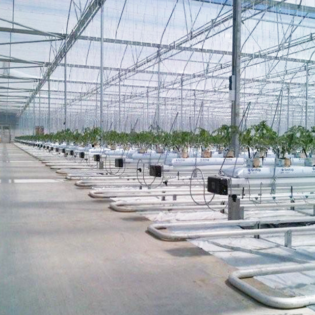 Auto Multispan Greenhouse Heating System From China