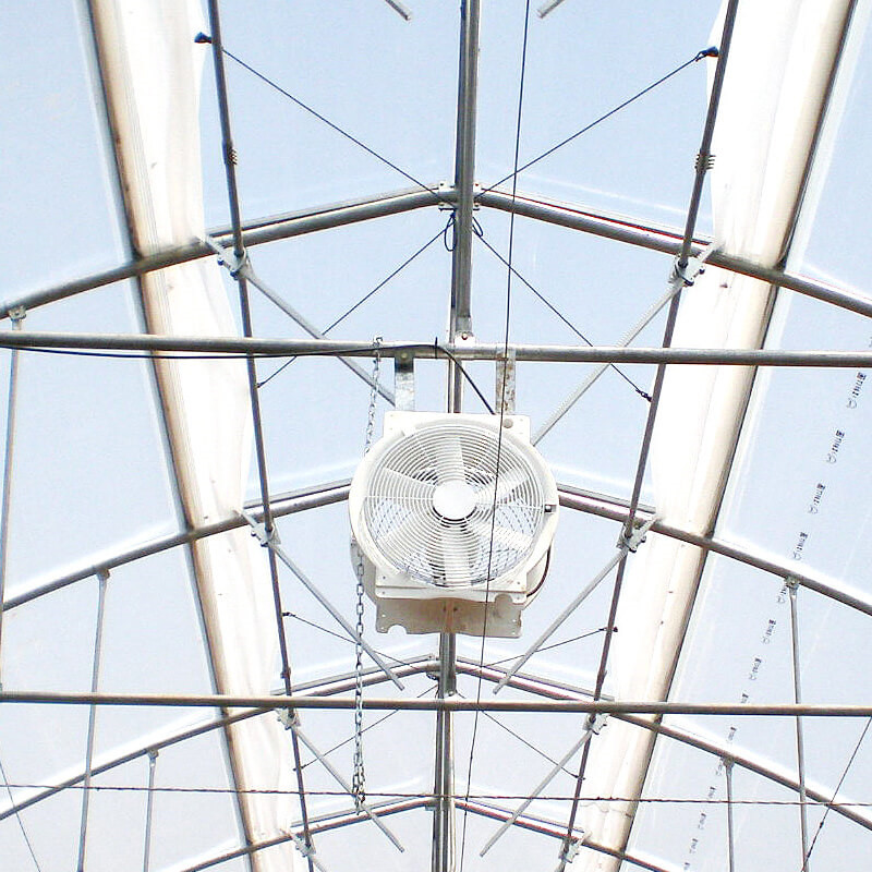 Light Deprivation Greenhouse Circulation Fan Greenhouse 