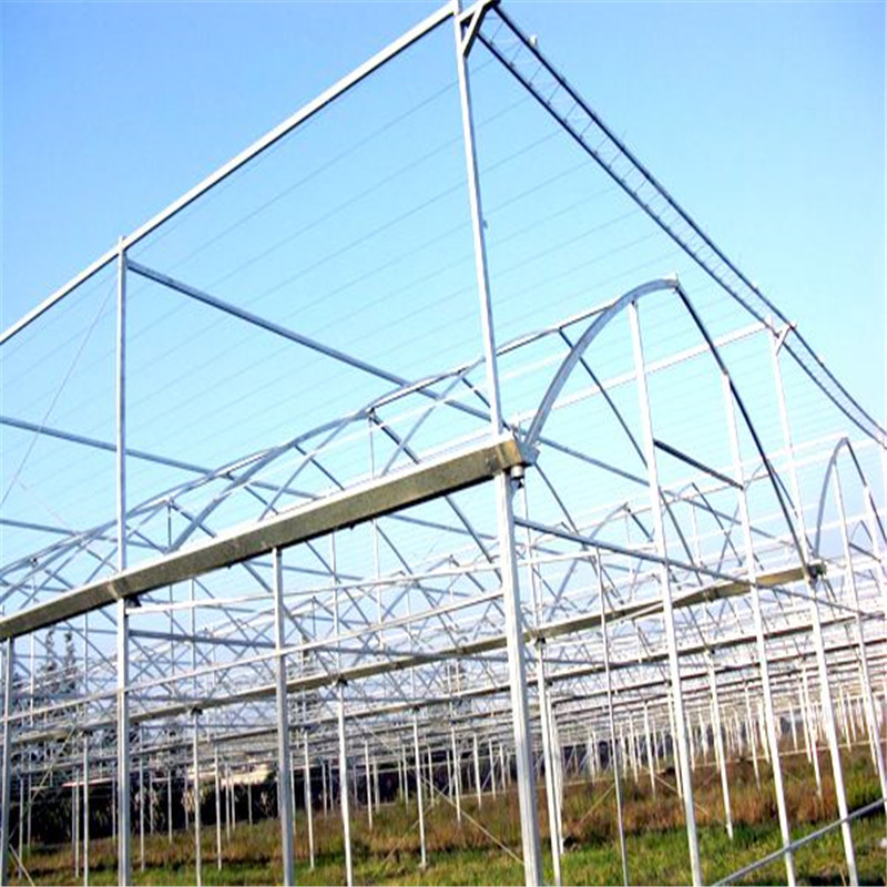 Best Quality Cheapest Greenhouse Irrigation System Multi-span Hydroponic Greenhouse for Vegetables/flowers/fruits/garden/tomato/crop/corn